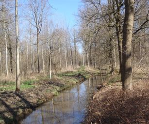 bornem - 20-03-2021 (16)