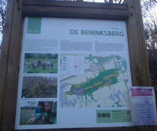 Wezemaal - 20-12-2020 (12)