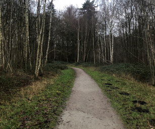 De Pinte - 05-01-2020 (10)