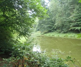 Blanden - 15-08-2020 (10)