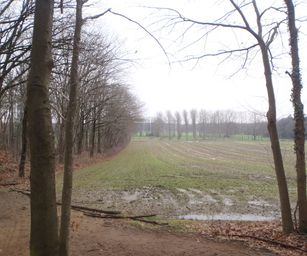 24-01-2023 - Deurne (3)