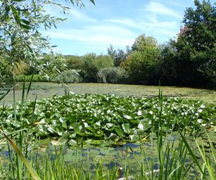 Oud Heverlee - 23-07-2020 (27)
