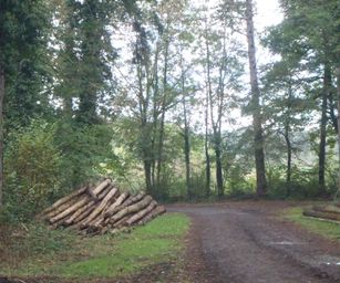 Hamoir - 11-10-2020 (3)