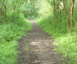 Sint-Pieters-Rode - 19-06-2021 (7)