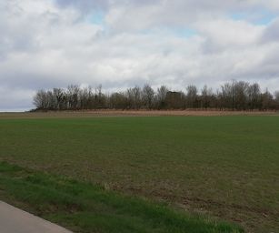 Péronnes-lez-Antoing - 01-03-2020 (16)