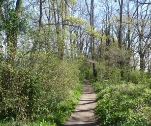 19-04-2023 - Wellen (35)