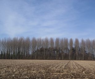 Bottelare 20-02-2021 (6)