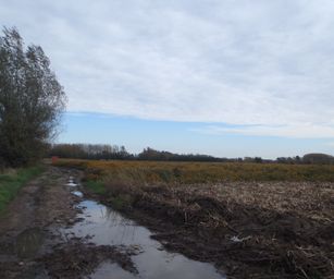 Wetteren - 31-10-2020 (37)