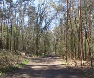Kasterlee - 17-04-2021 (7)