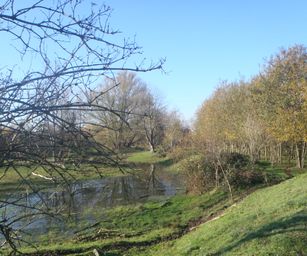 Gentbrugge - 28-11-2020 (23)