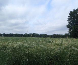Sint-Pieters-Rode - 19-06-2021 (23)