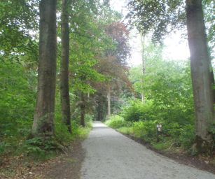 Oud Heverlee - 27-06-2021 (20)