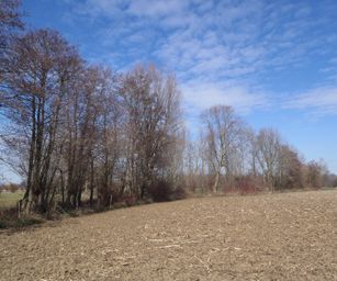 bornem - 20-03-2021 (12)