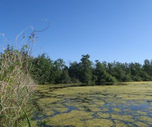 Heindonk - 13-06-2021 (7)