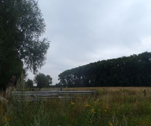 28-07-2022 Brugge 2 (6)
