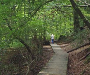 Sint-Pieters-Woluwe  - 19-09-2021 (40)