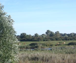 24-09-2023 - Groede (4)
