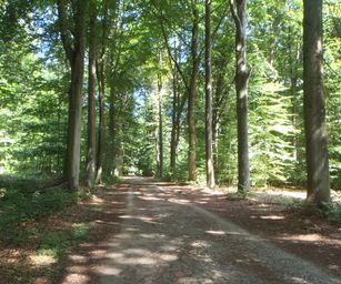 Oud Heverlee - 23-07-2020 (14)