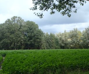 27-08-2023 - Laarne (8)