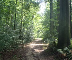 Blanden - 15-08-2020 (3)