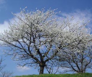 19-04-2023 - Wellen (20)