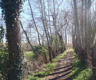 03-04-2023 - Diepenbeek (19)