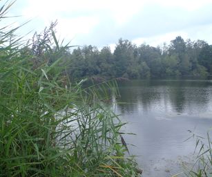 Schelle - 29-08-2021 (12)