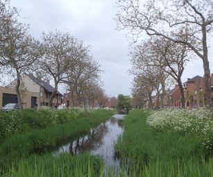 Ieper - 13-05-2021 (3)