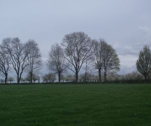 23-04-2023 - Banholt (19)
