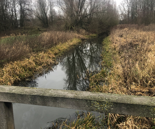 De Pinte - 05-01-2020 (13)