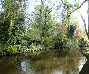 12-04-2022 - Sint-Joris (2)