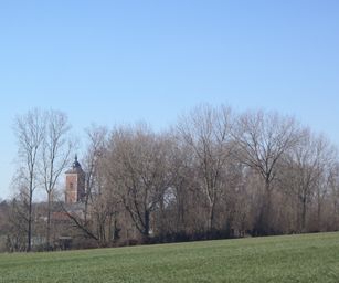 Asse - 06-03-2021 (17)