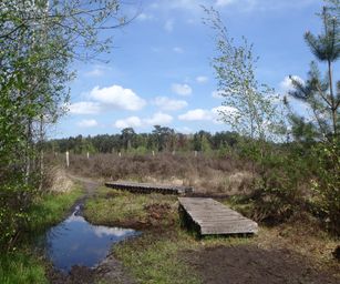 30-04-2023 - Herzele (16)