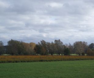 Wetteren - 31-10-2020 (6)