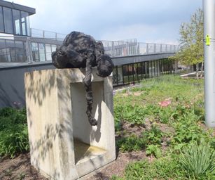Dendermonde - 01-05-2021 (22)