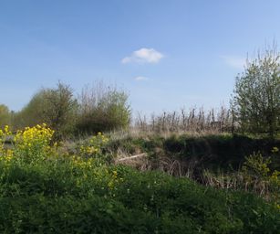 19-04-2023 - Wellen (6)