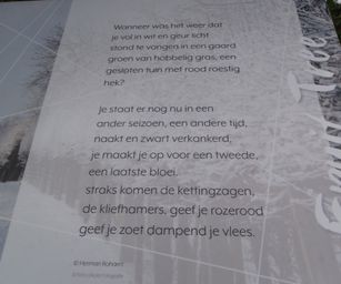 19-04-2023 - Wellen (21)