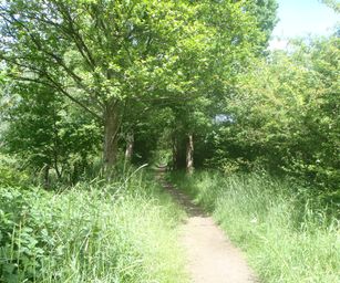 21-05-2022 Tongeren (14)