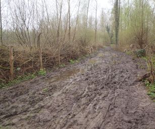 16-04-2023 - Winksele (21)