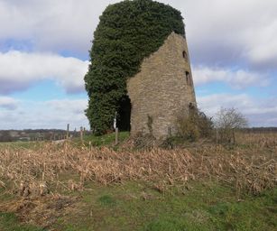 Péronnes-lez-Antoing - 01-03-2020 (4)