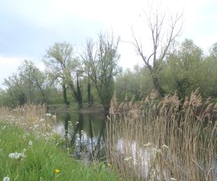 Dendermonde - 01-05-2021 (20)