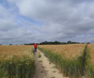 Sint-Pieters-Rode - 19-06-2021 (18)