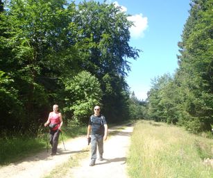 03-07-2022 Bullingen (28)