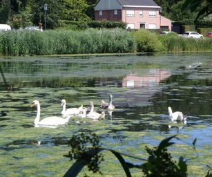 Oud Heverlee - 23-07-2020 (29)