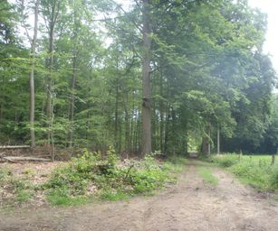 Oud Heverlee - 27-06-2021 (16)