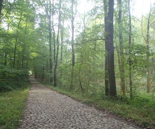 Sint-Pieters-Woluwe  - 19-09-2021 (8)