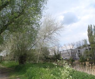 Dendermonde - 01-05-2021 (45)