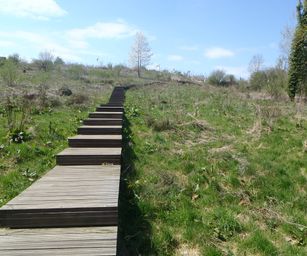 19-04-2023 - Wellen (29)