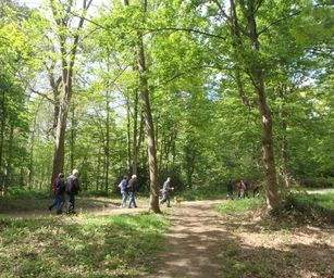 30-04-2022 - Destelbergen (9)
