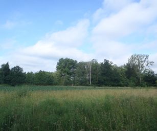 Sint-Pieters-Rode - 19-06-2021 (9)